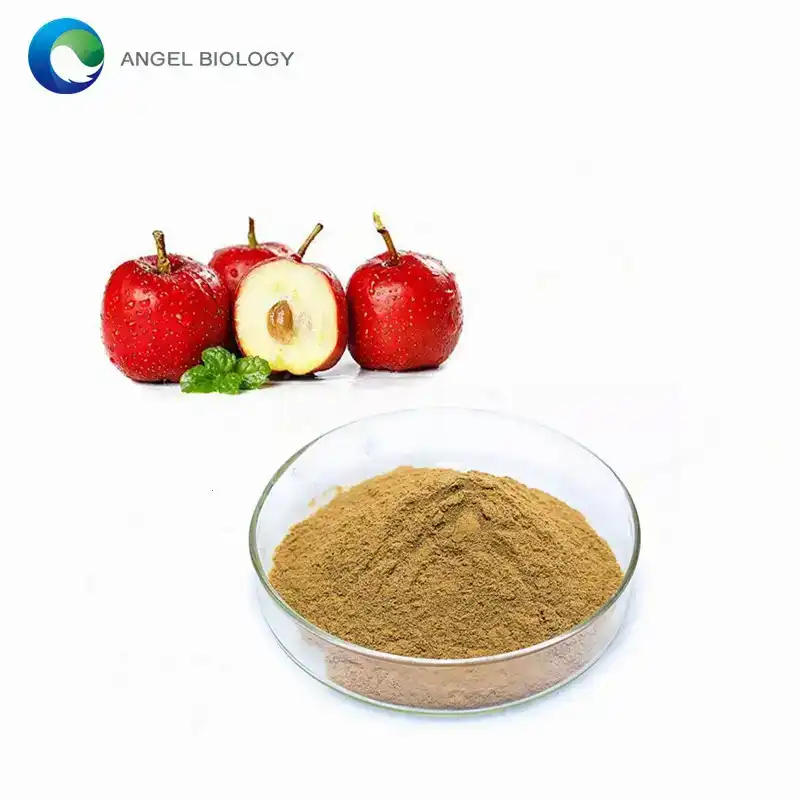 How to Select the Best Hawthorn Extract Supplement for Optimal Blood Circulation？